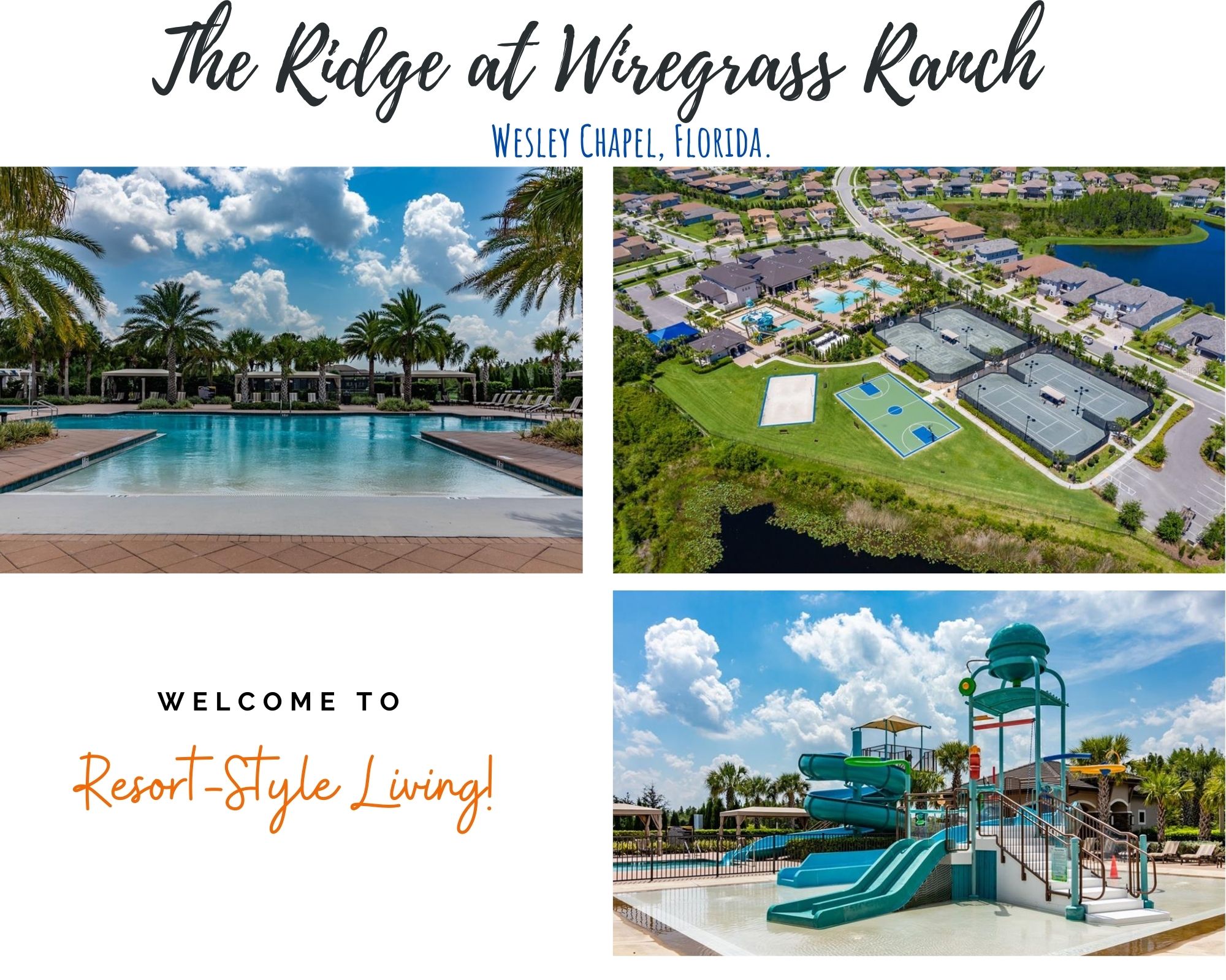 The Ridge at Wiregrass Ranch